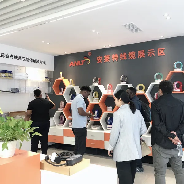 ANLT Cable Welcomes the South African Engineering Investment Bureau to Visit and Jointly Explore a New Chapter of International Cooperation